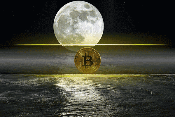 《走向无限》中文版即将发布，深度剖析FTX风暴